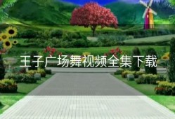 王子广场舞视频全集下载
