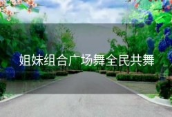 姐妹组合广场舞全民共舞