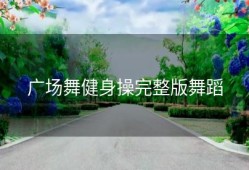 广场舞健身操完整版舞蹈