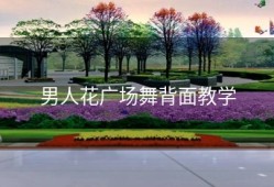 男人花广场舞背面教学