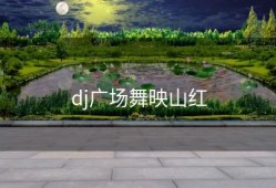 dj广场舞映山红