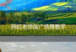 网红老师版广场舞教学