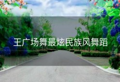 王广场舞最炫民族风舞蹈