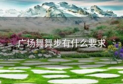 广场舞舞步有什么要求