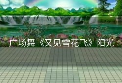 广场舞《又见雪花飞》阳光