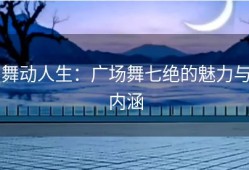 舞动人生：广场舞七绝的魅力与内涵