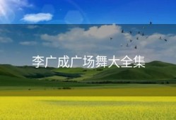 李广成广场舞大全集