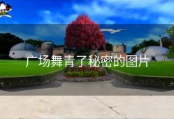 广场舞青了秘密的图片