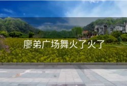廖弟广场舞火了火了