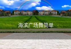 海滨广场舞简单