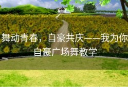 舞动青春，自豪共庆——我为你自豪广场舞教学