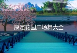 康定花园广场舞大全