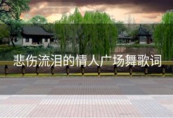 悲伤流泪的情人广场舞歌词