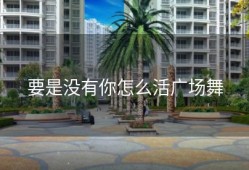 要是没有你怎么活广场舞