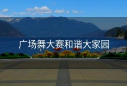 广场舞大赛和谐大家园