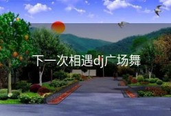 下一次相遇dj广场舞