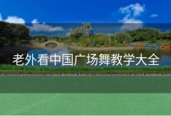 老外看中国广场舞教学大全