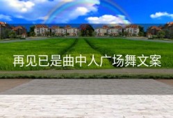 再见已是曲中人广场舞文案