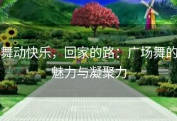 舞动快乐，回家的路：广场舞的魅力与凝聚力