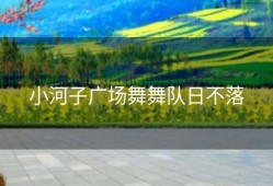 小河子广场舞舞队日不落