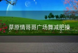 草原情哥哥广场舞减肥操