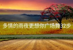 多情的雨夜更想你广场舞32步