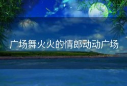 广场舞火火的情郎动动广场