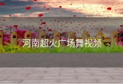 河南超火广场舞视频