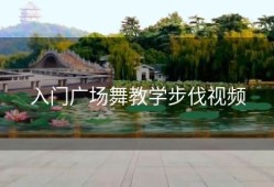 入门广场舞教学步伐视频