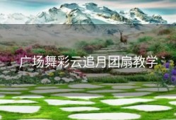 广场舞彩云追月团扇教学