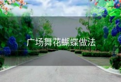 广场舞花蝴蝶做法