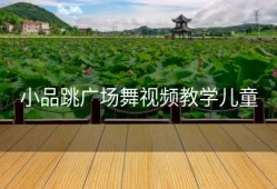 小品跳广场舞视频教学儿童