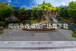 闯码头改编版广场舞下载