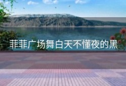 菲菲广场舞白天不懂夜的黑