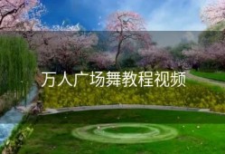 万人广场舞教程视频