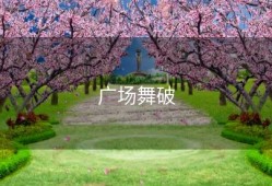 广场舞破