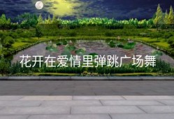 花开在爱情里弹跳广场舞