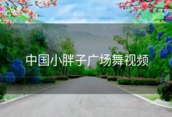 中国小胖子广场舞视频