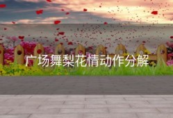 广场舞梨花情动作分解