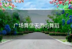 广场舞信天游dj舞蹈