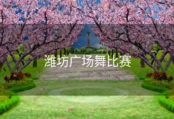 潍坊广场舞比赛