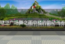 糖豆广场舞之雨中楼的韵动画卷