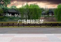 广场舞桃花梦