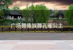 广场舞傣族舞孔雀公主