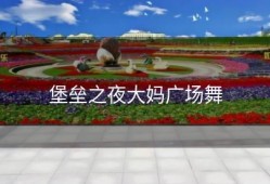 堡垒之夜大妈广场舞