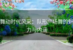 舞动时代风采：队形广场舞的魅力与内涵