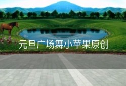 元旦广场舞小苹果原创