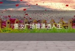 惠汝广场舞潇洒人生