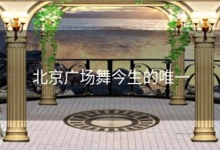 北京广场舞今生的唯一