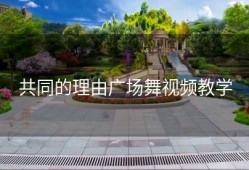 共同的理由广场舞视频教学